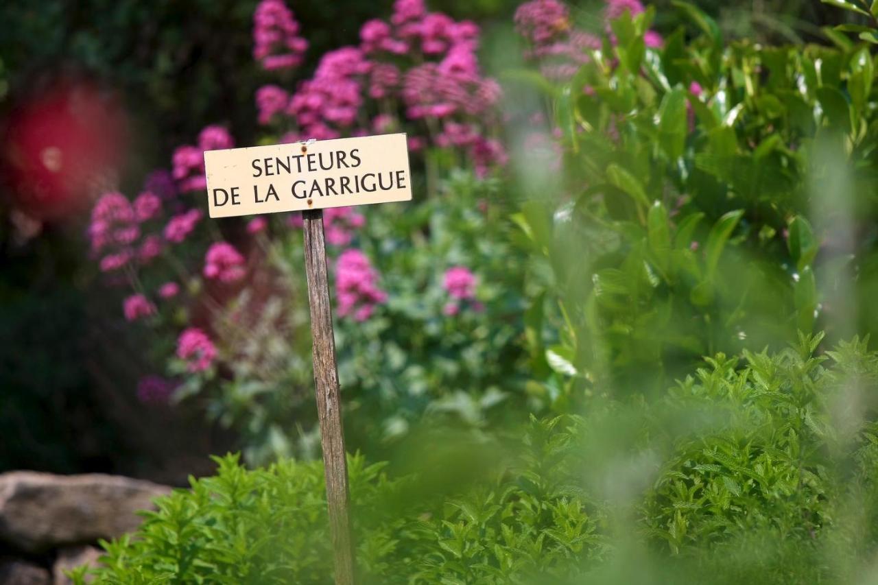 Maison De Village La Clemaline Figanières Eksteriør bilde